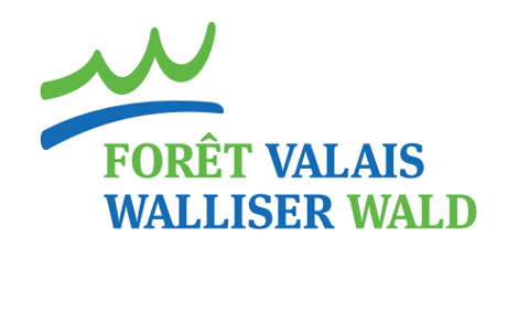 Foret_Valais